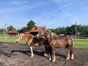 Willem en Max 